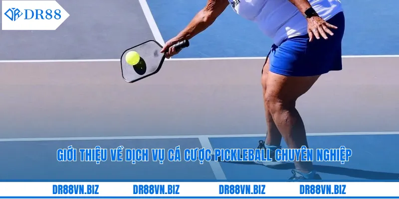 Giới thiệu về dịch vụ cá cược pickleball chuyên nghiệp Giới thiệu về dịch vụ cá cược pickleball chuyên nghiệp