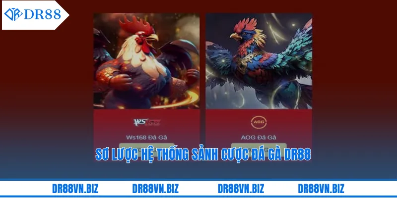 Sơ lược hệ thống sảnh cược đá gà DR88